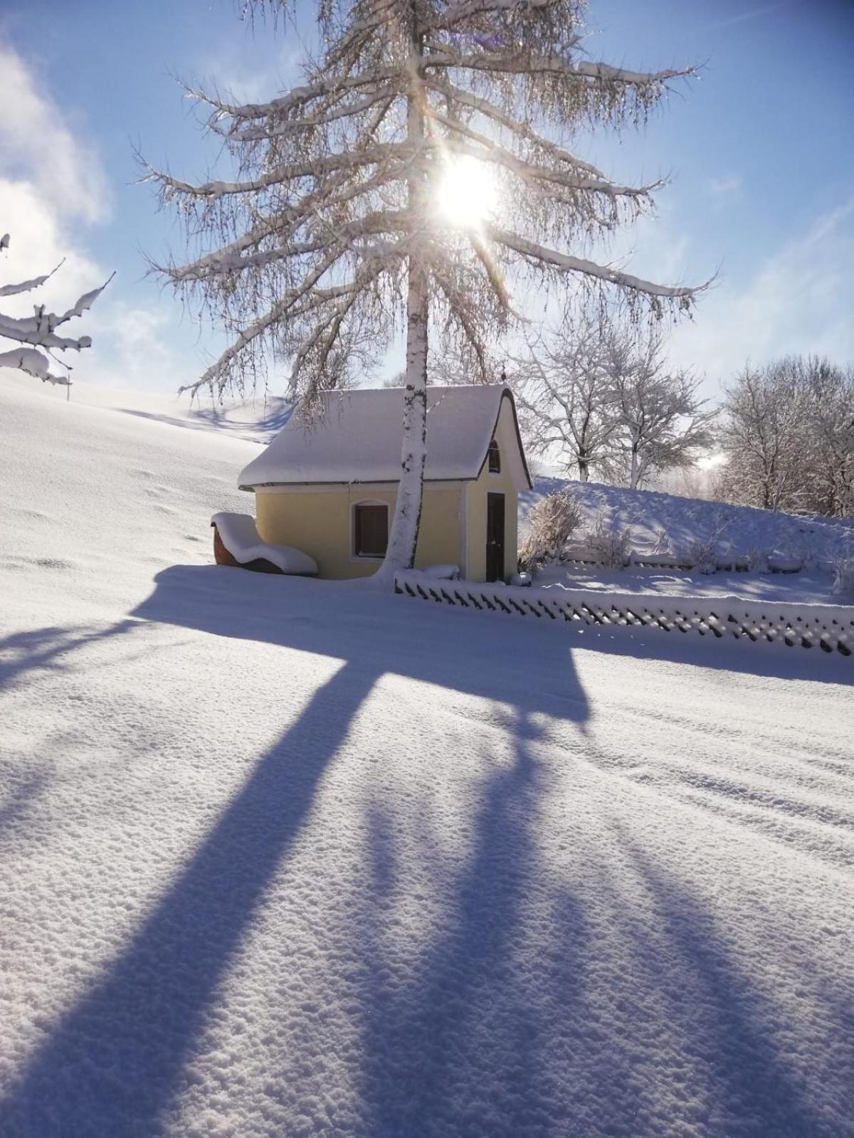 Alpenchalets Oberlaiming Itter Exterior foto